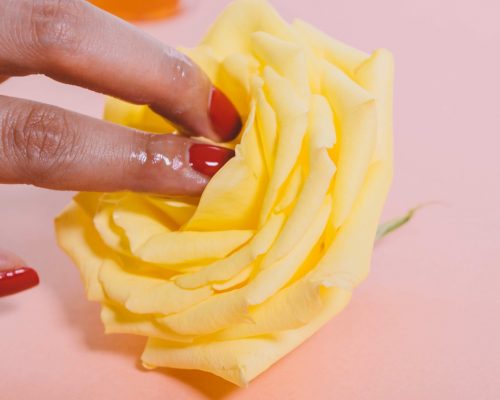 Blume wird mit Finger berührt